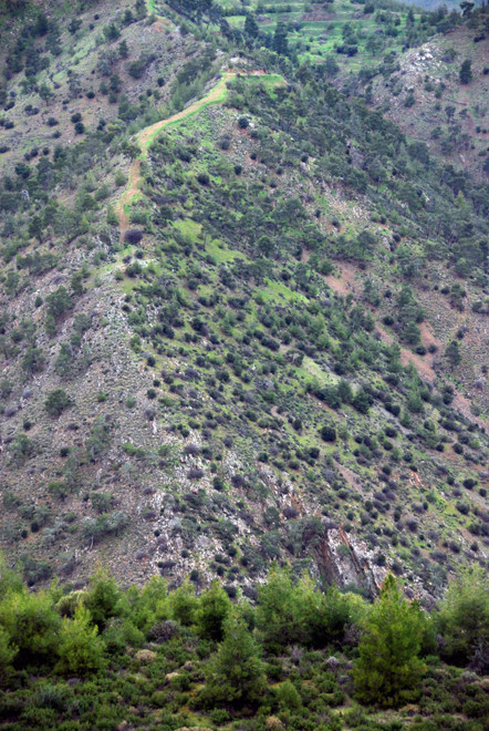 The tentative, stretched greens of a Zeros valley spur, showing greater growth and rejuvenation on the north side of the spur. 