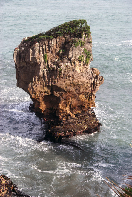 Limestone stack at Punakaiki Rocks. 