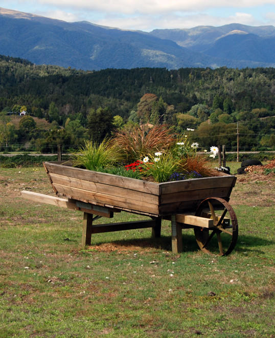 Giant prospector's barrow at Inangahua Junction