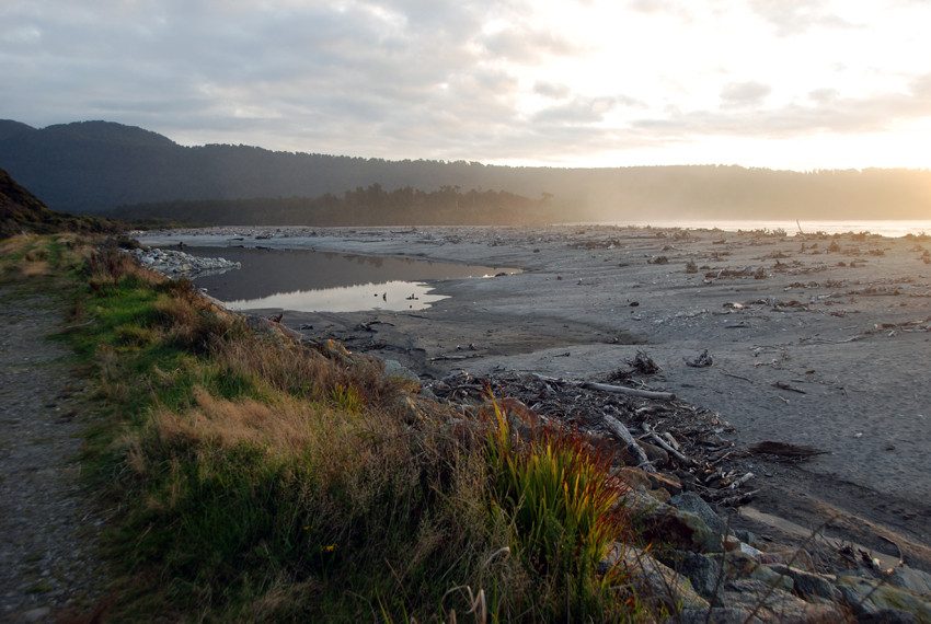 Maori Beach as Bruce Bay strewn with tree roots and trunks washed down from the steep wooded slope of the Southern Alps.