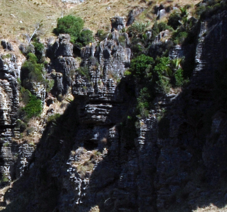 Detail of photo above where  horizontal and vertical erosion are visible with developing grykes.