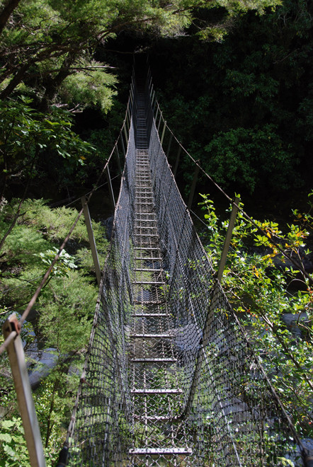 The swing bridge across the Wainui River that indeed did swing.