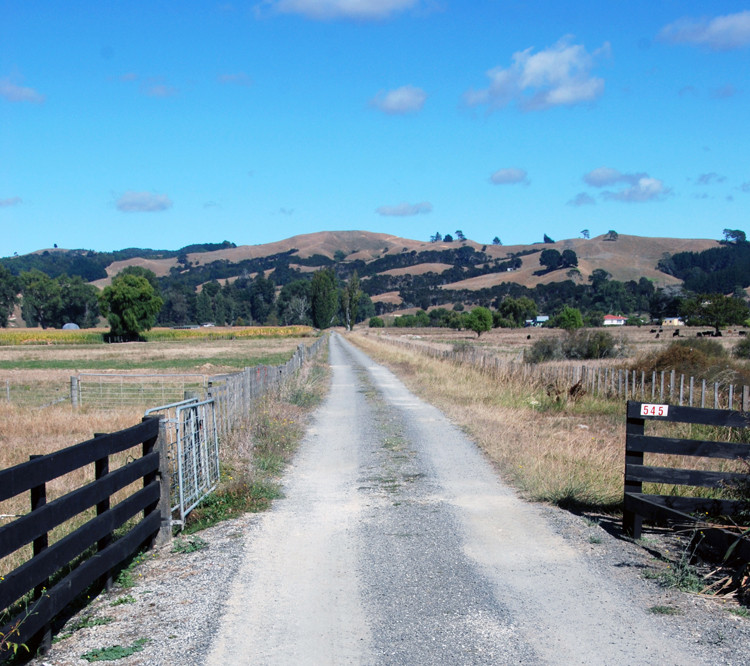 Farm road leading by dry pasture, maize and the shade of poplar trees and the bare-browed hills beyond, Miranda. 