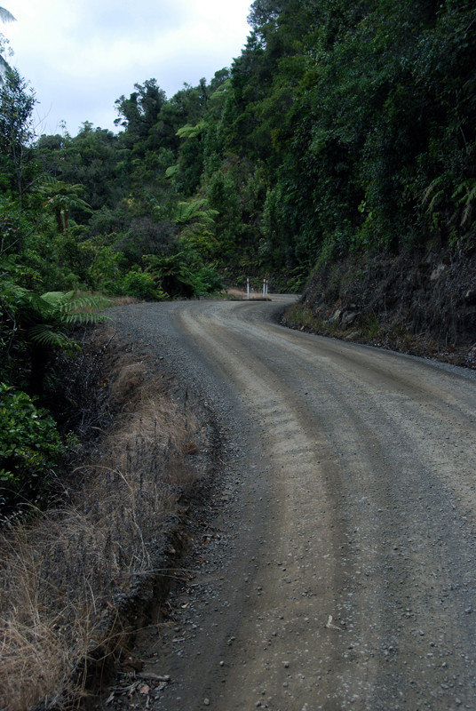 The sweeping curves and blind corners of the Tapu-Coroglen gravel road. It's not a road for the nervous or unwary. 