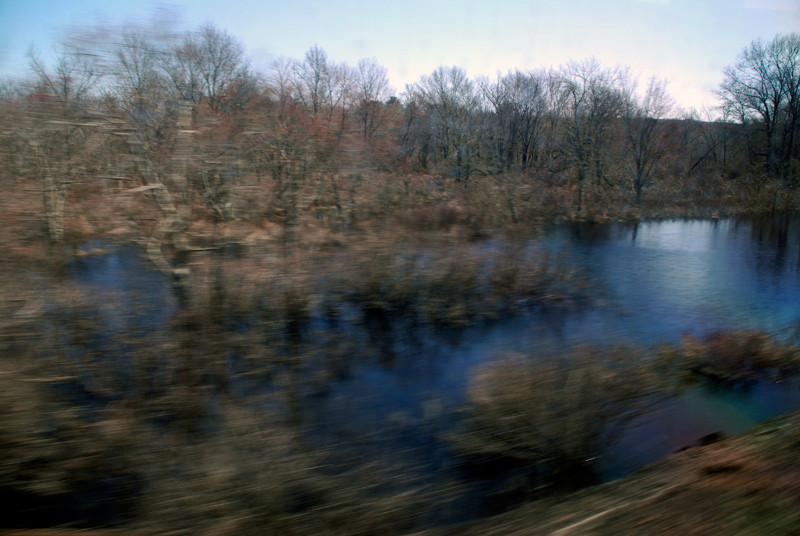Woods and lake, New York to Boston 2006