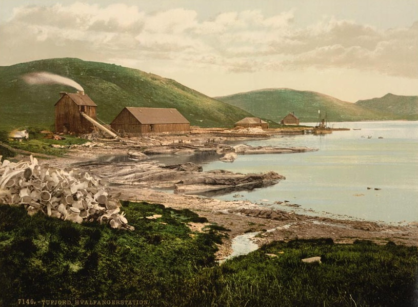 Hvalfangerstation (Whaling Station) at Tuford near Norway's North Cape (Wikimedia Commons).