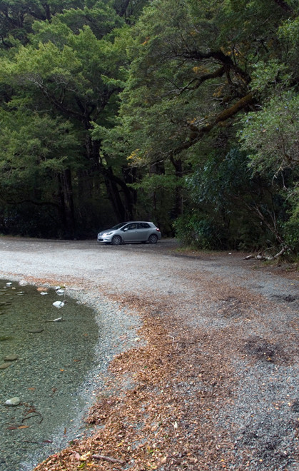 The Red Beech forest and crystal clear waters of Lake Gunn at the campsite turning off the Milford Road.