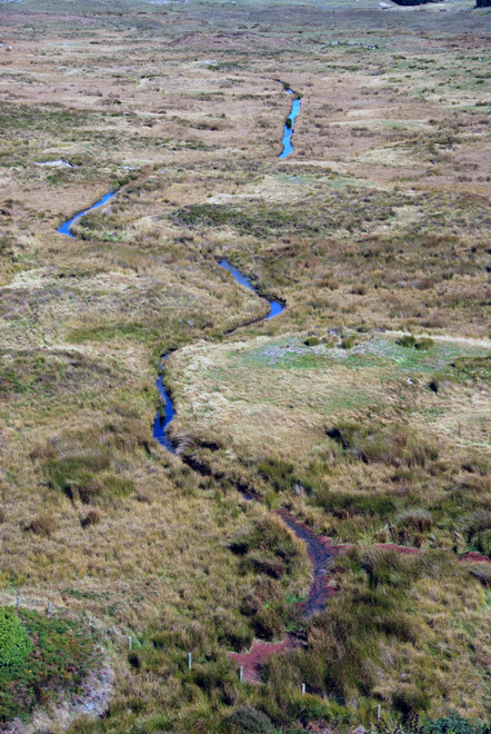 Meandering stream in the the Okia Flats Reserve 