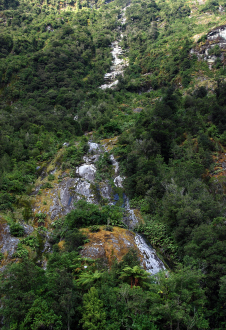 Tree fall scar down the wall of Milford Sound with mosses and fern recolonising the bare rock