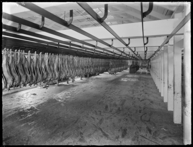 Interior view of sheep carcasses, Burnside freezing works, Green Island, Taieri. (S Webb Ref: 1/1-022201-G. Alexander Turnbull Library, Wellington)