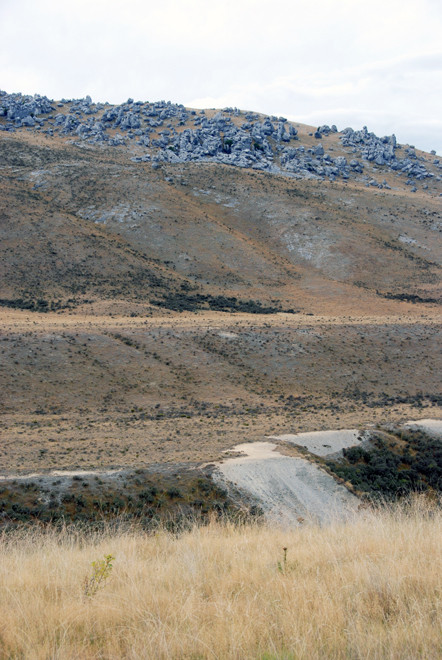  Terraces cut by Ice Age glacial meltwater and limestone boulder fields of Flock Hill The  scarp and limestone tors is an important refuge for many rare limestone plants and the Seligeria dimunata mos