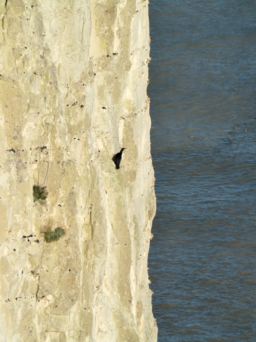 Fancy a shag on cliff - it's all about the punctuation. 