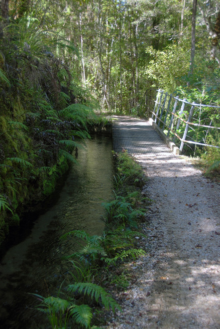 The leat and pathway on the shaded side of the Campbell Creek valley on the Hydro Walk, Golden Bay.