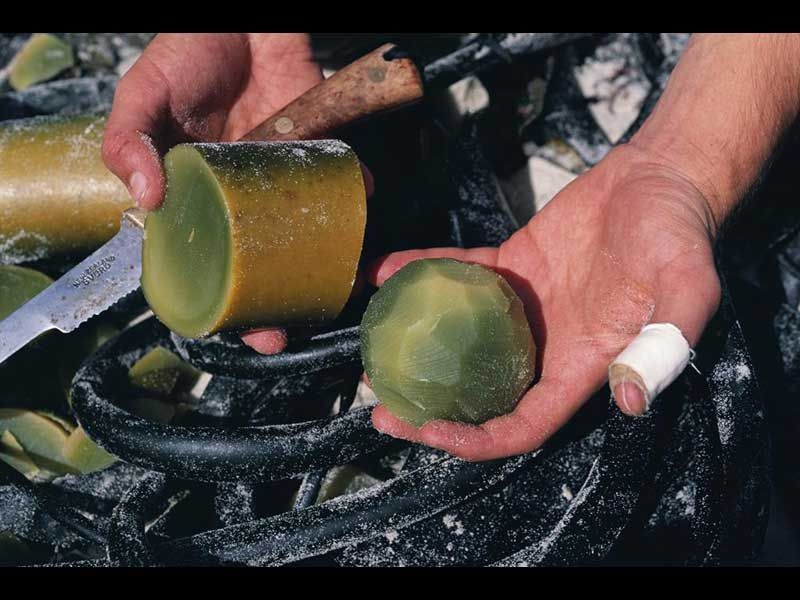 Cricket ball fashinoned from Bull Kelp stipe on Steart Island (Radio NA click for link)