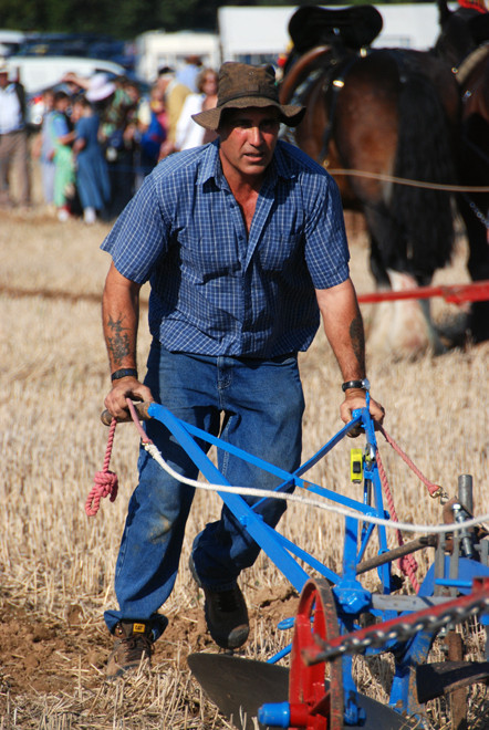 Ray Dawkins on the one-share, two horse-power, hand-held plough pulled by Molly and Barney. Ray won the Best Pair event at the National Ploughing Championships at Soham, Cambridgeshire in October 2009