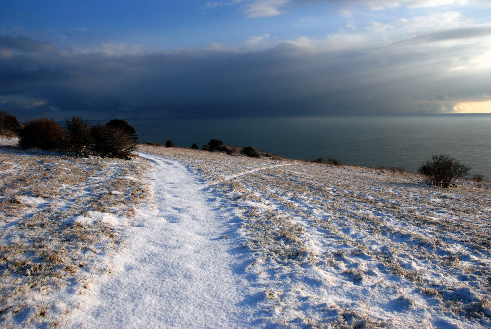Bitter weather in the Bay