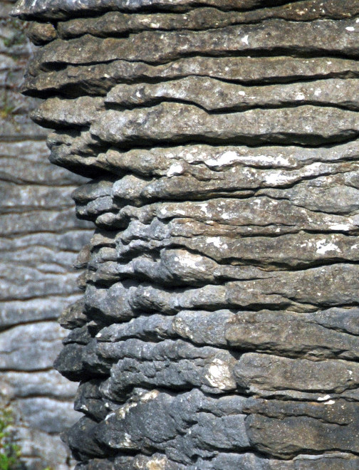 Detail of stylobedding of the Punakaiki limestone and mudstone in-fills.