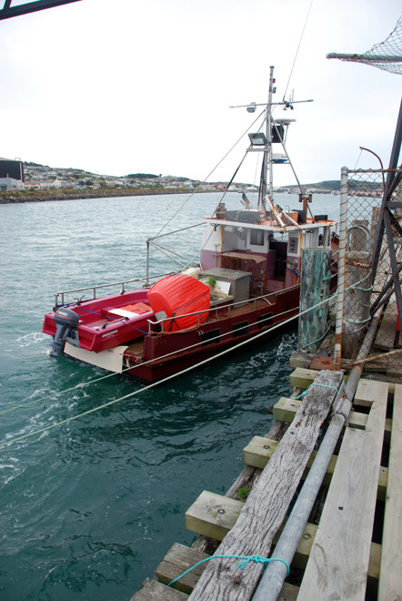 Day boat, Bluff Harbour. 