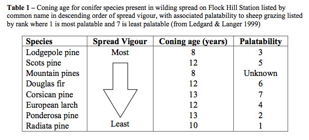 The wilding tree culprits: from Woods, Wilding Conifer Management for Flock Hill Station, 2007 p.17 