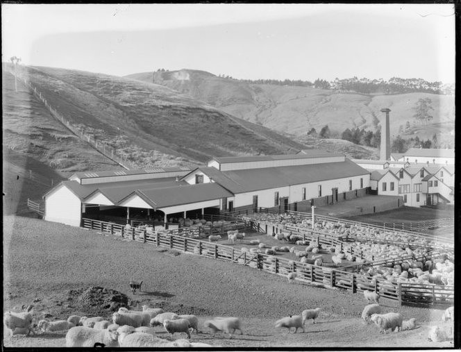 Burnside Freezing Works, Dunedin (no date): (S. Webb)Ref: 1/1-019454-G. Alexander Turnbull Library, Wellington. The plant opened in 1881 and continued as an abbatoir untBurnside Freezing Works, Dunedin.  The plant opened in 18il 1980. It is now derelict. 