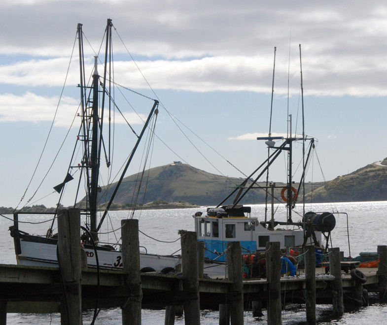 Boat tied up at the Otakou wharf with Taiaroa Head and the Royal Albatross Observatory in the background