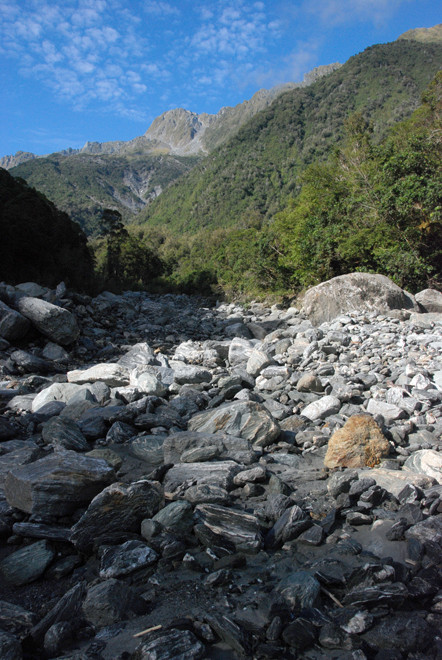 Mill Creek near Fox Glacier