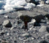 The person at 'a' in the photo of the terminus of Fox Glacier above.