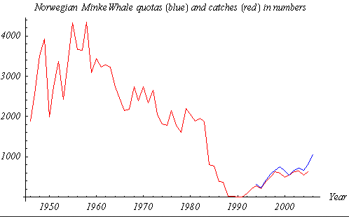 Norwegian Minke Whale Quotas (blue line, 1994–2006) and Catches (red line, 1946–2005) in Numbers (from official Norwegian statistics via Wikimedia Commons).