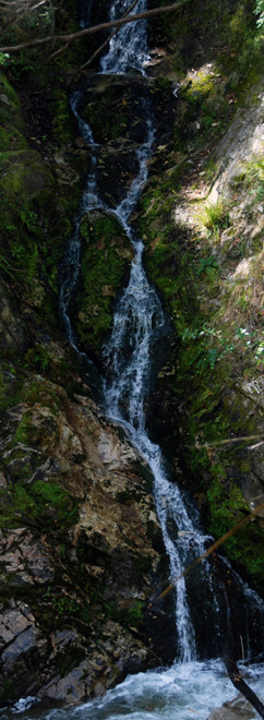 Water everywhere in the rain forest. Annual rainfall is over two metres even in the lowland forest.