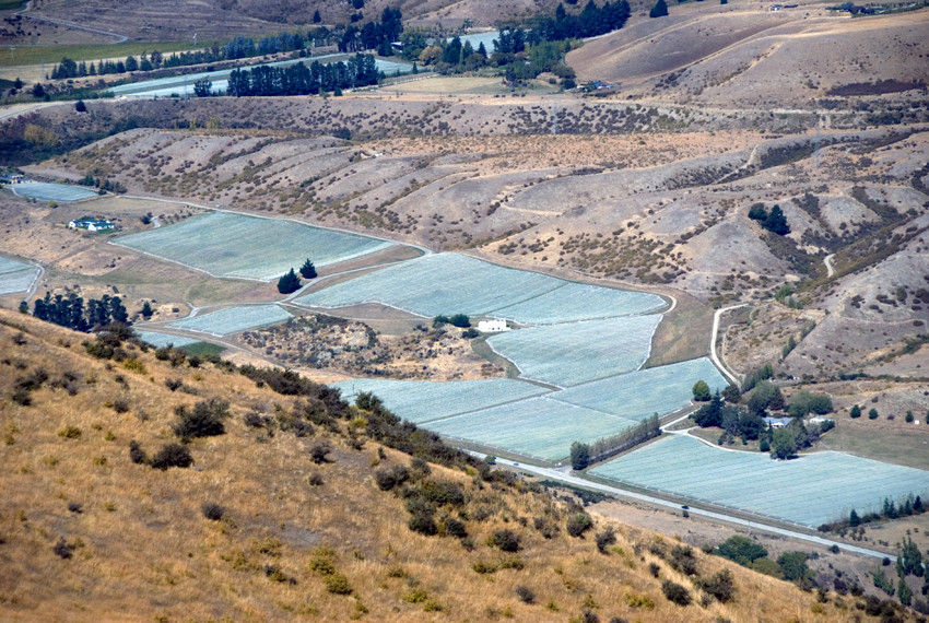 Bird protection of grape vines near harvest time in the Gibbston wine subregion of Central Otago from the Crown Range.