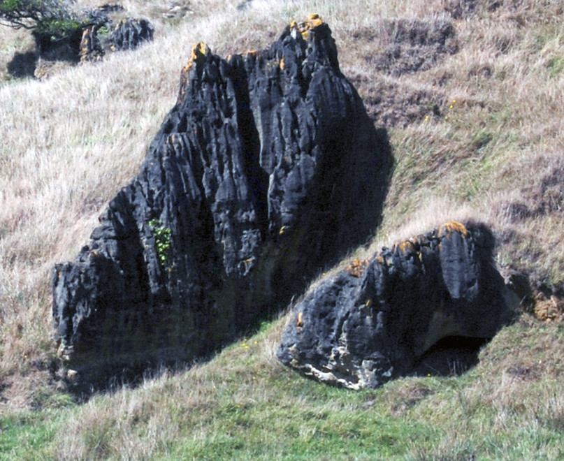 A huge exposed limestone slab with vertical channels eroded into it by acidic action.