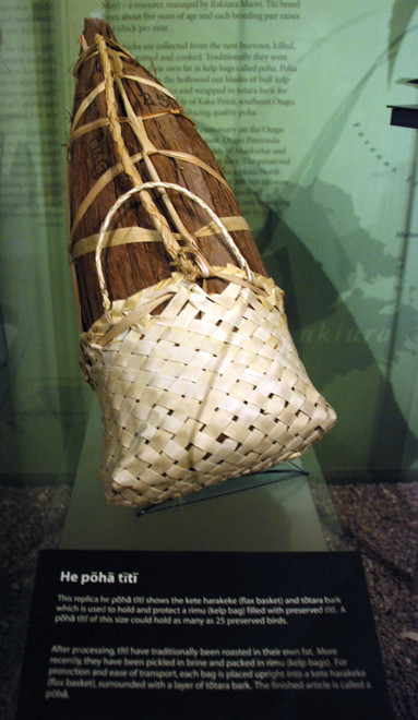 The elaborate method of storing muttonbirds - a kelp bag - poha - inside a bark bag inside a  flax basket. This package coould have held 25 preserved muttonbirds (Otago Museum, Dunedin)