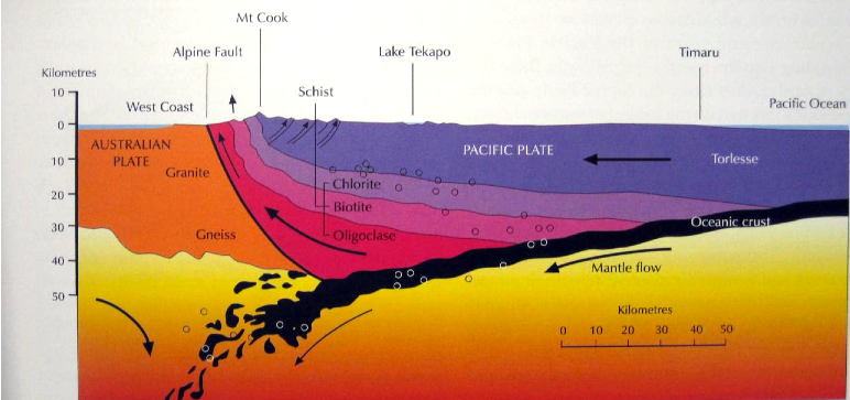 Cross section of the Southern Alps to scale on a line from Mt. Cook to Timaru (from Coates, G., The Rise and Fall of the Southern Alps, 2002)