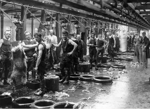 Workers in the Ocean Beach Freezing Works, Bluff in 1933 (Source: Te Ara: Southland).