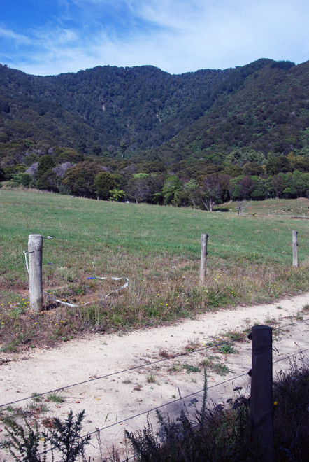 The steep hills that jack up from the Wainui Valley floor. The Wainui River picks out the Wainui Shear Zone - the eastern edge of the Pikikiruna Fault.