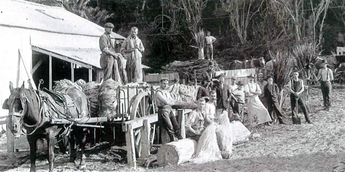 The Mangakarau flax mill in the early 1900s. Hanks of processed flax were baled up and shipped out to export markets from West Whangaui Inlet (Tyree Studio, Nelson Provincial Museum).