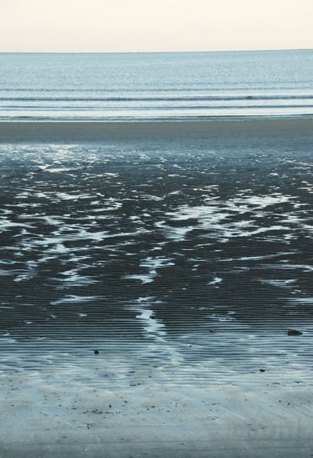 The intertidal zone at Pohara Beach.