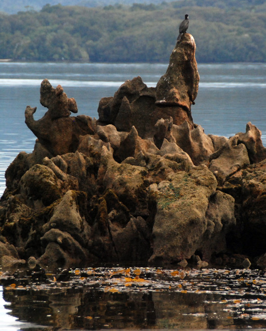 Close up of that granite formation and shag.