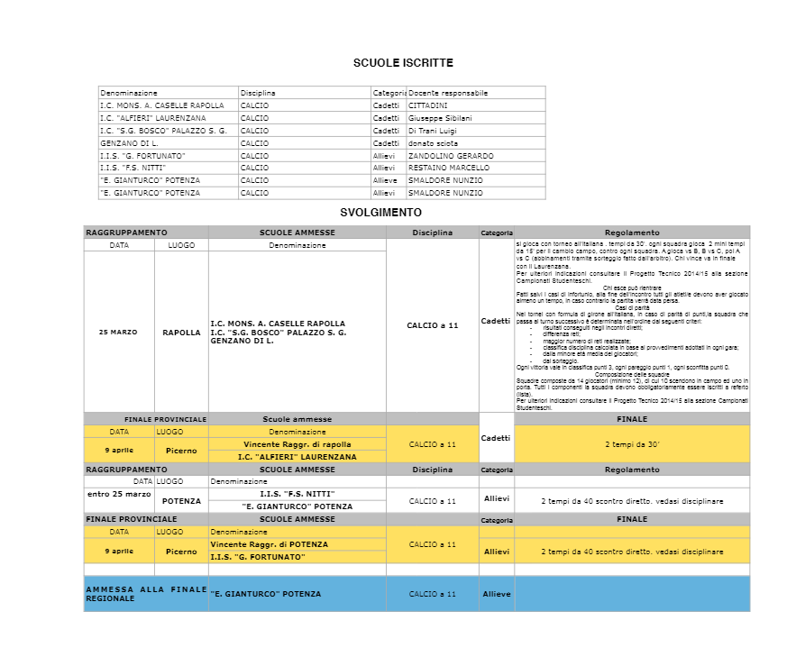 CALENDARIO CALCIO A 11
