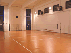 palestra Bramante a Potenza