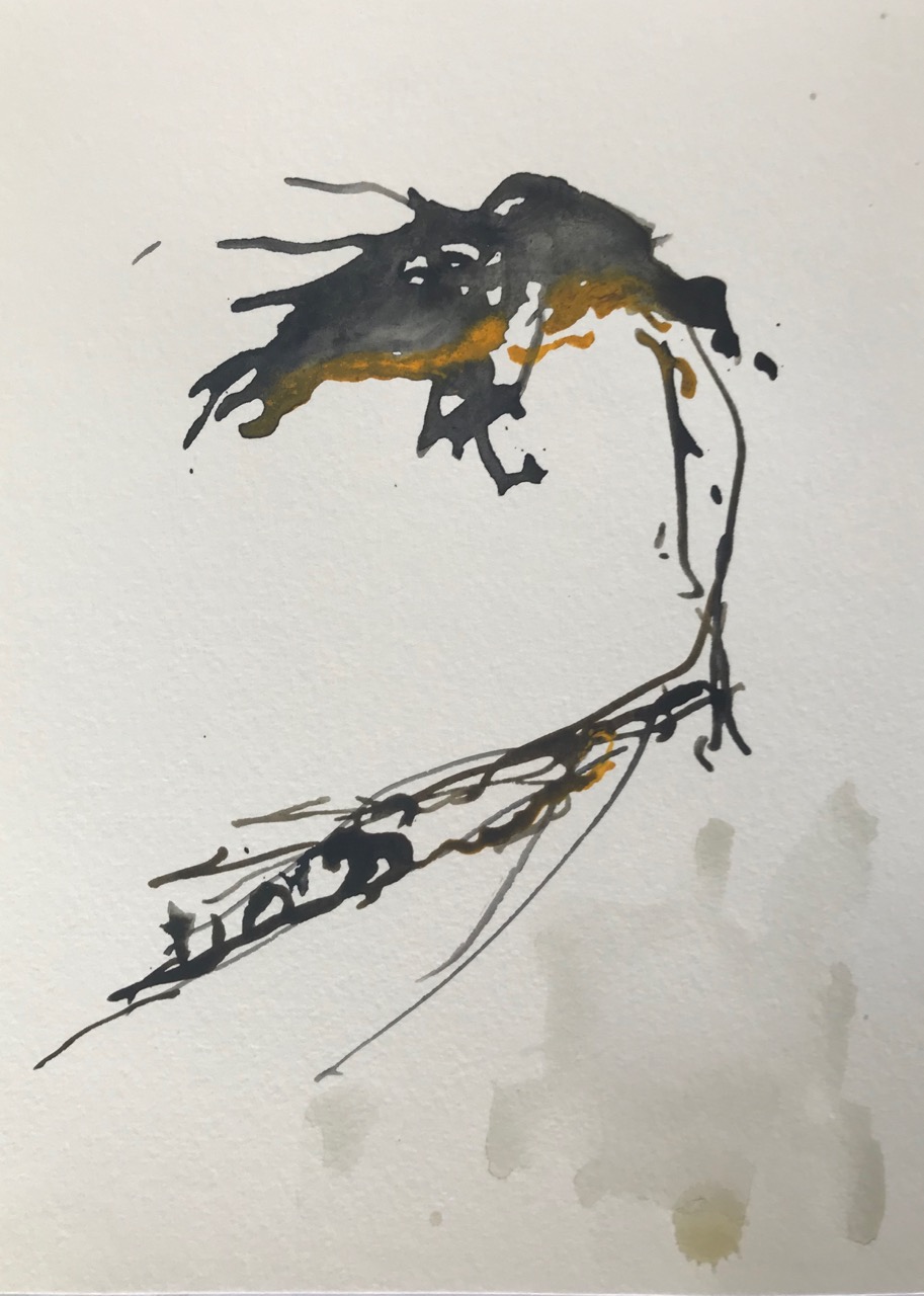 Kleine Enzyklopädie der Mittelmeerquallen Pt.1, Aquarell und Tusche auf Papier, 21 x 30 cm, 2018