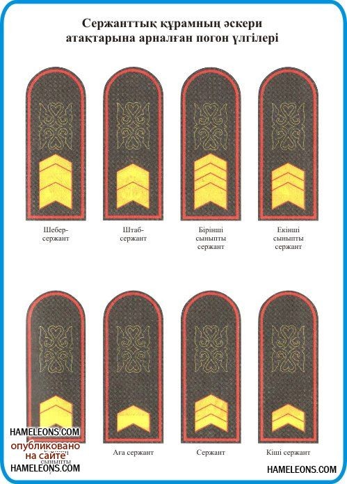 Погоны в казахстане. Воинские звания РК МВД. Звания в Казахстане военные. Звания полиции Казахстана погоны. Звания в армии Казахстана.