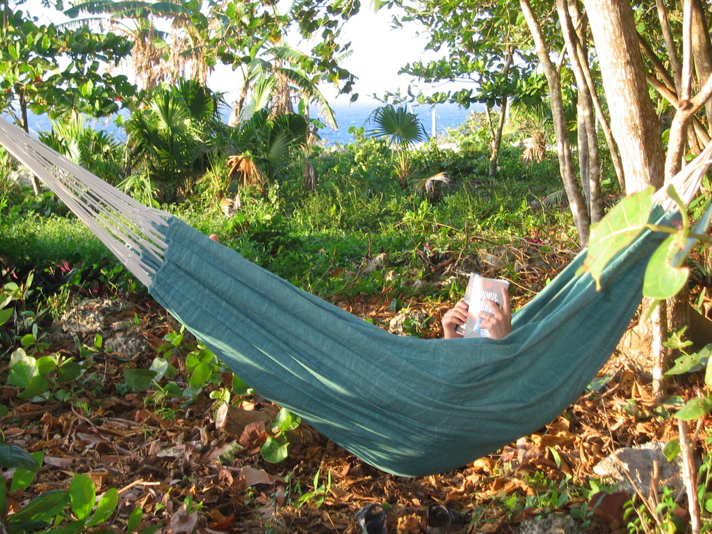 Property Real Jamaica