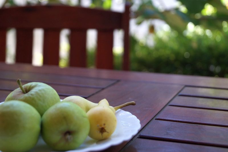 Preise - Aurora Apartment - Apartments im Herzen von Pula
