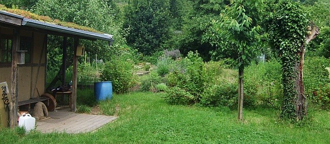 Der NABU-Garten in Handschuhsheim