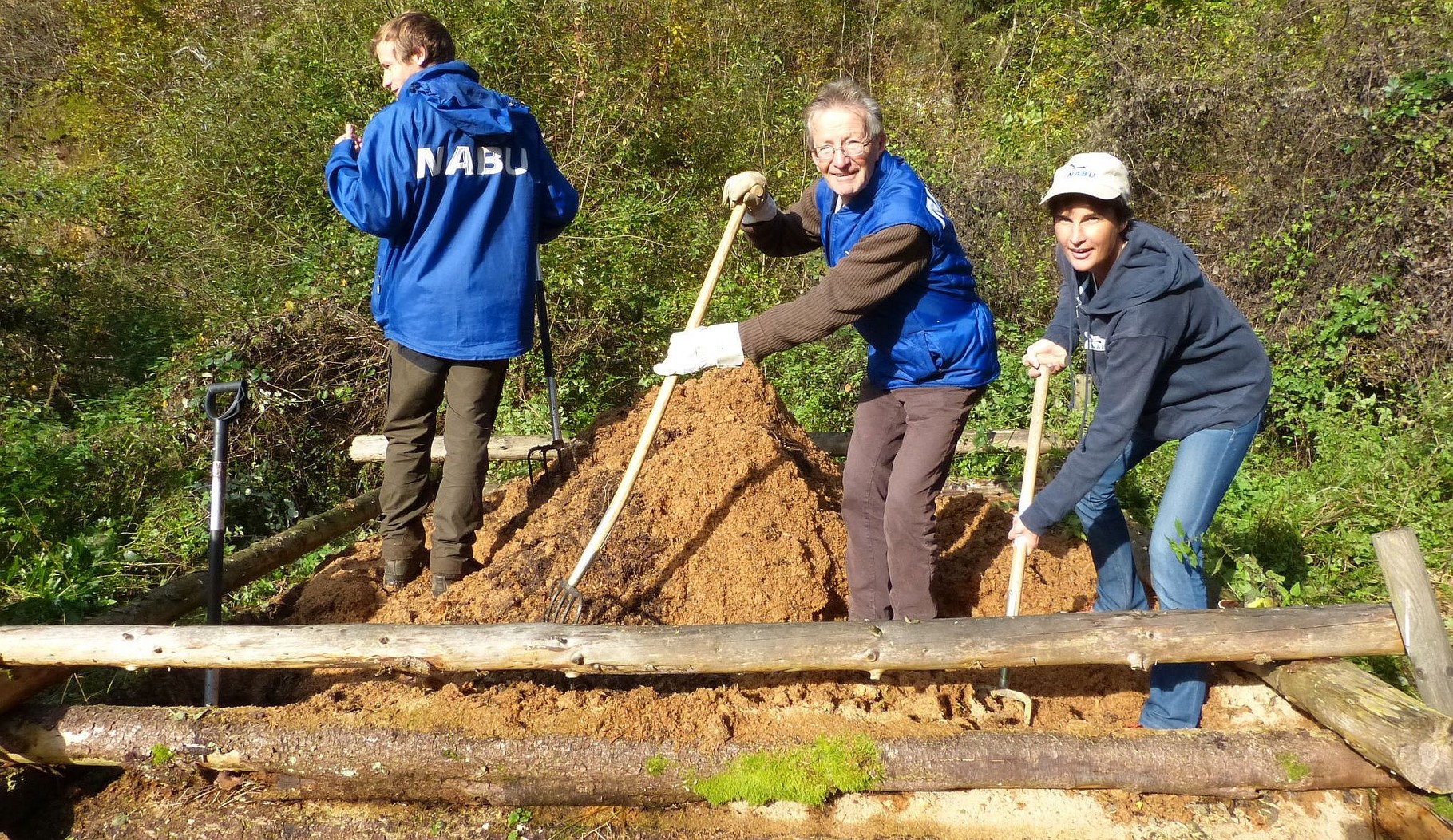 Gelege Der Askulapnattern Rund Um Eberbach Nabu Heidelberg Die