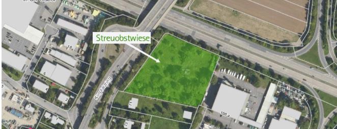 Bild BUND Heidelberg