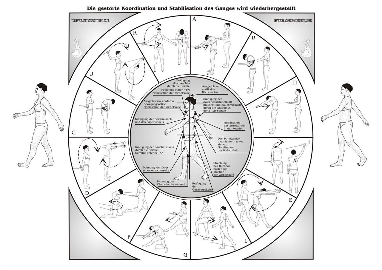 Spiralstabilisation nach Dr. med. Rudolf Smisek - Praxis Vita Sana ...
