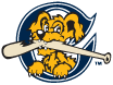 Il logo RiverDogs