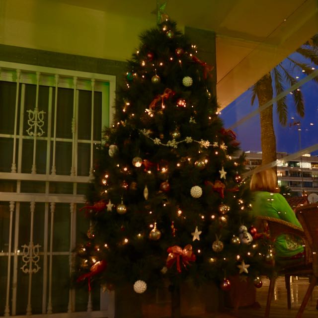 Am Weihnachtsbaume die Lichtlein brennen...